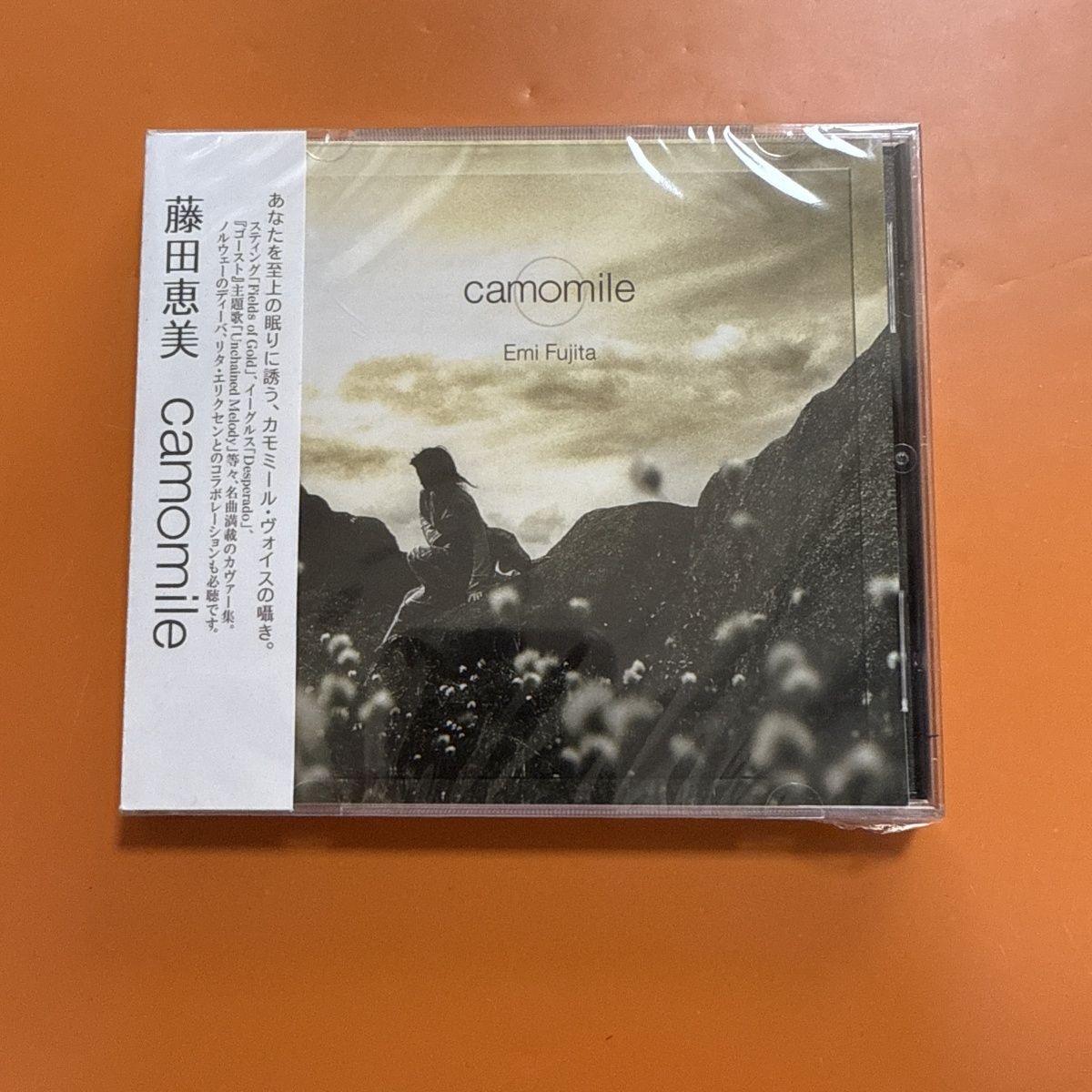 Musical Instrument In Japanese - 힐링 스타일의 일본 포크 팝 CD,