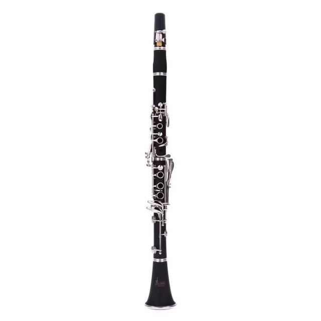 Musical Instrument Manufacturers - 제조사 직송: 학생 및 성인용 B♭
