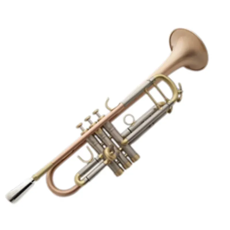 제조업체는 브러시드 마감 처리된 무거운 무게의 D 플랫 - Musical Instrument Manufacturers 리뷰 및 가격