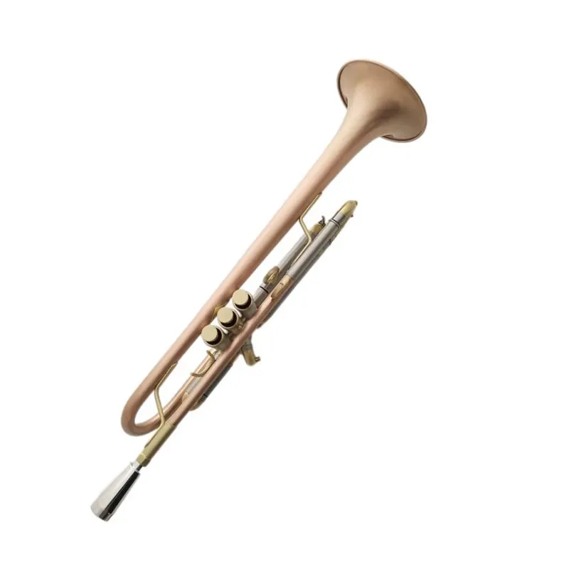 제조업체는 브러시드 마감 처리된 무거운 무게의 D 플랫 - Musical Instrument Manufacturers 리뷰 및 가격