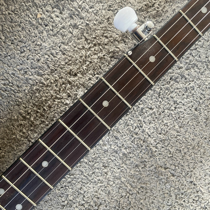 J063 제품명: RALLY 5현 밴조, 한국산, 오픈 - Banjo 5 String Open 리뷰 및 가격