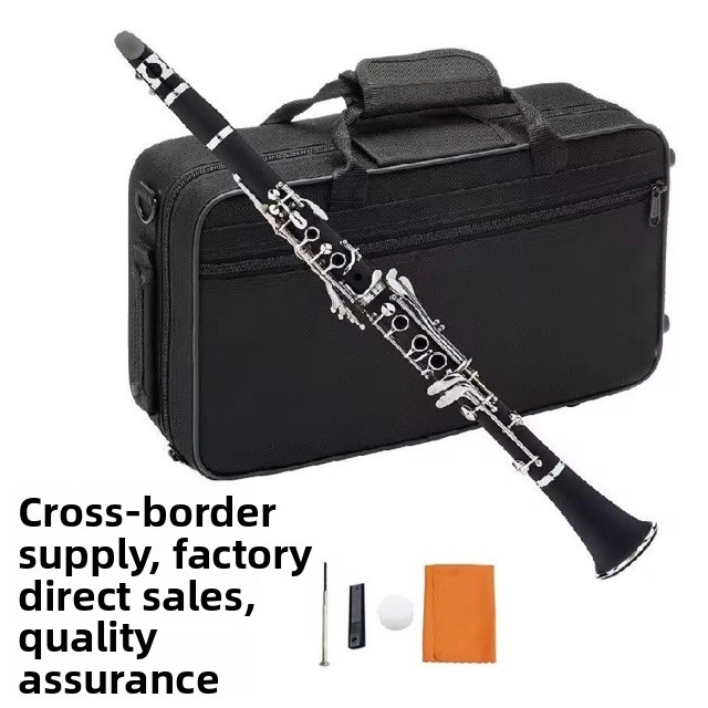 제조사 직송: 학생 및 성인용 B♭ 17키 ABS 클라 - Musical Instrument Manufacturers 리뷰 및 가격