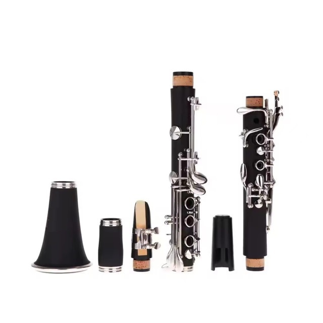 제조사 직송: 학생 및 성인용 B♭ 17키 ABS 클라 - Musical Instrument Manufacturers 리뷰 및 가격